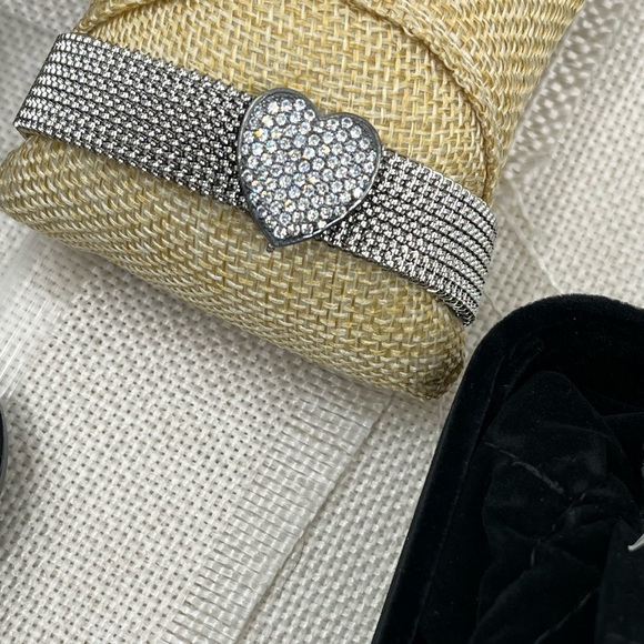 Suspicion QVC Stainless Steel Mesh Bracelet with 925 Interchangeable Ornaments - Picture 5 of 17